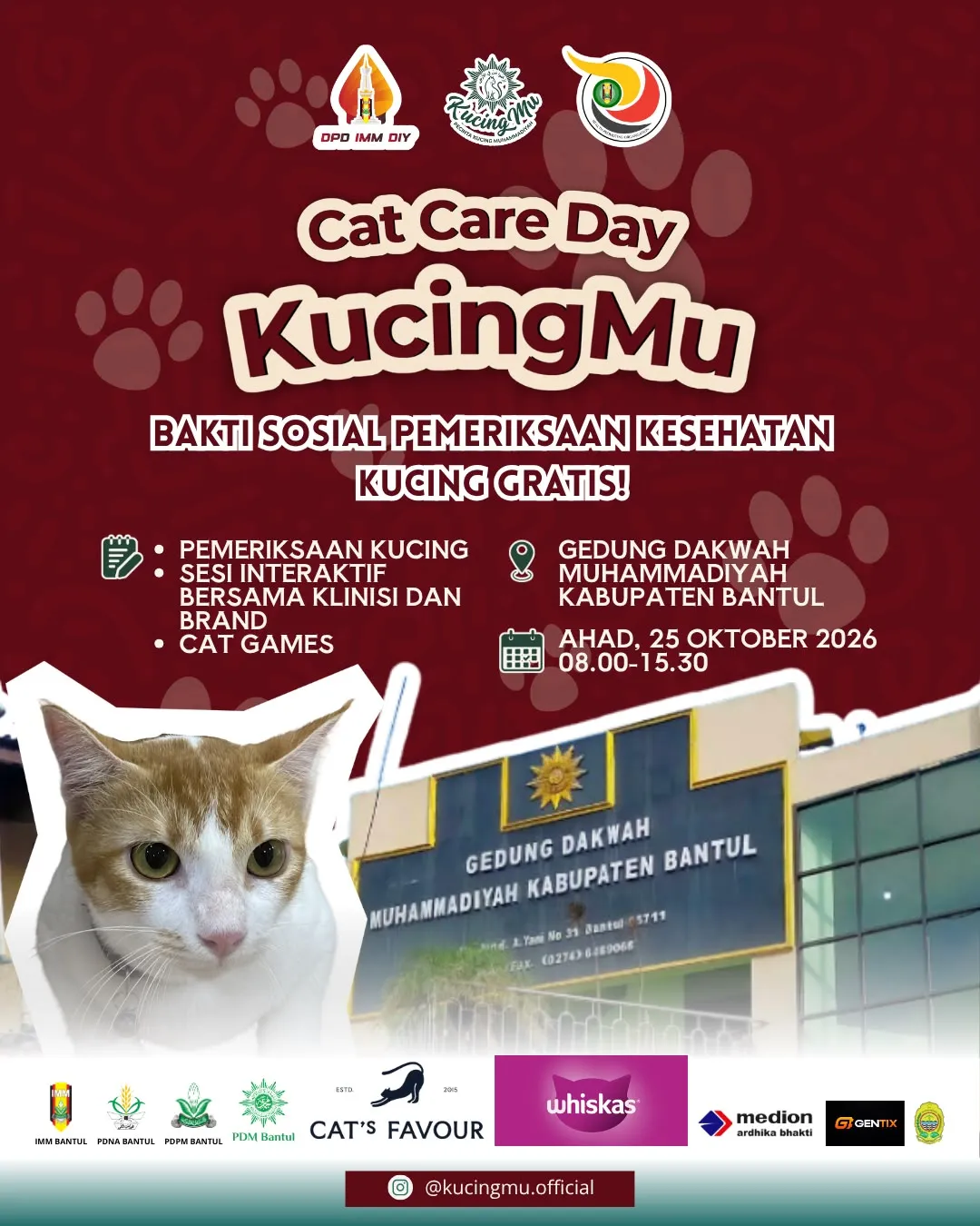 Cat Care Day : Bakti Sosial Pemeriksaan Kesehatan Kucing Gratis